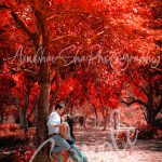 pre wedding couple photoshoot, boy girl with red tree, red beautiful flowers anubhavshaphotography