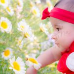 6 months poser toddler baby photography, garden, props, girl in red floral dress, tiara, face closeup, flowers, anubhavshaphotography