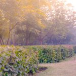 maternity pregnancy photography, outdoor, husband, pregnant wife, 6 years boy, love, posing, care, anubhavshaphotography
