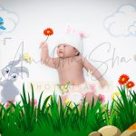 newborn infant photography, indoor home, props, anubhavshaphotography, rabbit bunny theme, flowers, bird, sun