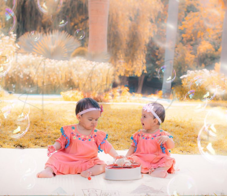 1 year pre birthday twins cake smash photography, garden, props, flowers, bubbles, anubhavshaphotography, pink dress